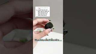 Coi lại lần nữa dùm 2  chớ 2 mợt qué gòy  #unboxing #review #mossball #marimo