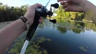 5 lb Bass - Early Fall Fishing