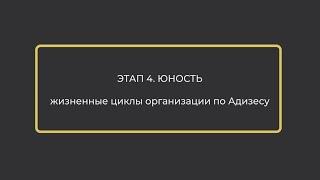 Юность - Жизненные циклы организации по Адизесу