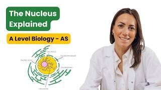 The Nucleus Explained | AQA A-Level Biology