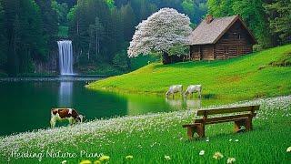 Healing Music for Inner Peace  Calm Nature Sounds for Stress Release & Deep Sleep, Relaxing Music