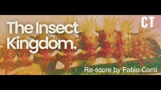 THE INSECT KINGDOM | Score by Fabio Conti | #cuetubetheinsectkingdom