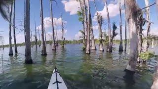 Explore Louisiana Outdoors: a 360 Experience