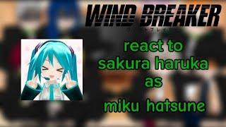 || Wind breaker || react to || Sakura Haruka as || Miku Hatsune ️‍ Part 1