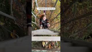 3 stunning autumn hikes in Belgium 