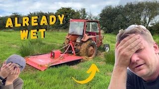 Topping with the Massey 135 - 1 Day of Rain - Clearing The Machine Shed