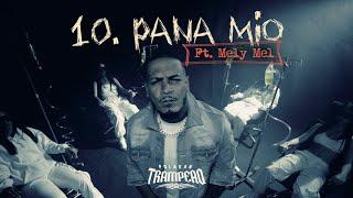 Polakan Ft. Melymel - Pana Mío | Trampeao