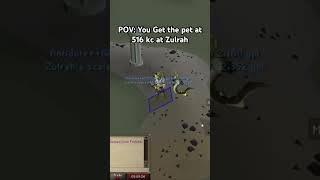 Easy pet to the log #zulrah #osrs