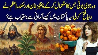 Sea Buck-thorn Oil: Nature’s Multivitamin in a Bottle | Dr Sahar Chawla