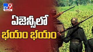 Adilabad Combing operations intensified in State bordering areas - TV9