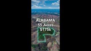 55 Acres of ALABAMA Land for Sale • LANDIO