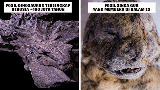 7 Penemuan Fosil Hewan Purba Dalam Kondisi Utuh