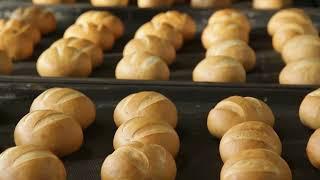Brico Bread - Factory Presentation