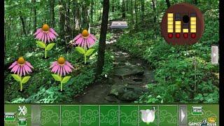 Foliage Forest Escape walkthrough Games2Rule.