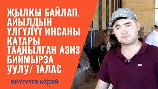 Жылкы байлап, айылдын үлгүлүү инсаны катары таанылган Азиз Биймырза уулу / Талас / #Өнүгүүгөкарай