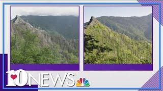 Great Smoky Mountains National Park Chimney Tops landscape steadily returning after 2016 wildfires