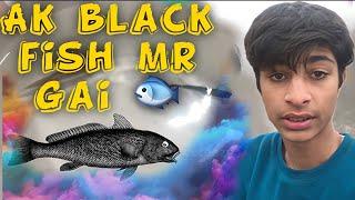 ak black fish  mr gai   #vlog