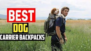 Top 5 Best Dog Carrier Backpacks in 2024