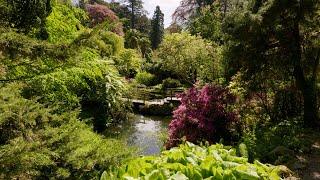 Explore Powerscourt House in Ireland’s Wicklow County