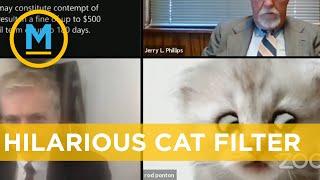 Lawyer can’t figure out how to turn off hilarious Zoom cat filter | Your Morning