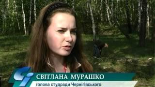 Прибирання пам'ятника