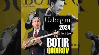 Botir Qodirov Uzbegim (2024) jonli ijro #botirqodirov #uzbegim #jonliijro #youtube #nevomusic #post