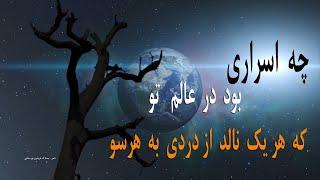 Noor Dar Shab