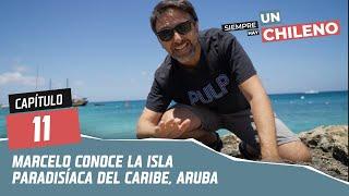 Siempre hay un Chileno | Capítulo 11 "Aruba" | Canal 13