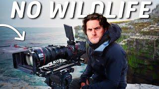 How to make a wildlife documentary...with no wildlife