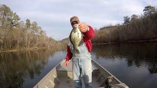 Crappie Fishing With A Jig