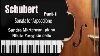 Sonata for Arpeggione  Schubert Part 1