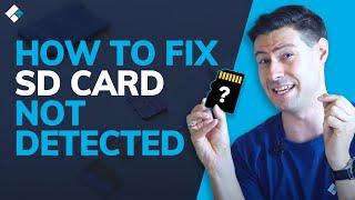 How to Fix SD Card Not Detected / Showing Up / Recognized? [Windows 10/8/7]