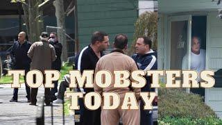 Top 15 MOST POWERFUL Mobsters In The FIVE FAMILIES