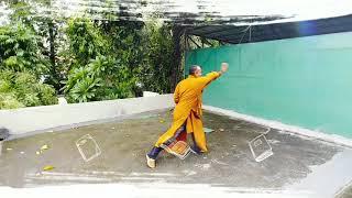 Shaolin Da Tongbei Quan ( Shifu Kanishka)