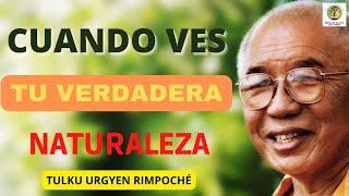 Tulku Urgyen Rimpoche ~ Cuando ves tu verdadera naturaleza