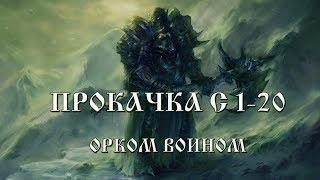 Гайд по Дестру/Тиру с 1- 20 лвл + фарм на D оружие Lineage 2 Classic