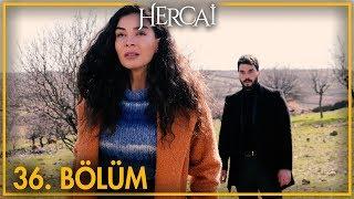 Hercai 36. Bölüm