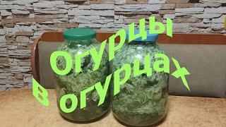 Огурцы квашенные в огурцах. Необычно.