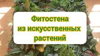 Фитостена из искусственных растений