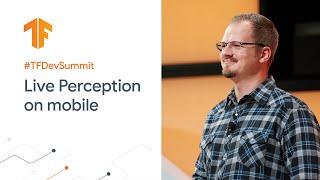 ML solutions for Live Perception (TF Dev Summit '20)