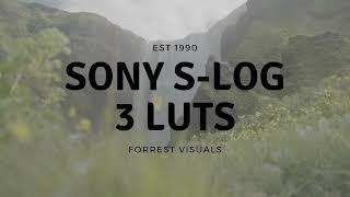 SONY S-LOG 3 Conversion LUTS