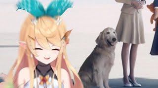 Pomu loses it over JPEG Dog 【NIJISANJI EN】