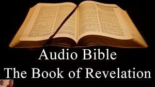 The Book of Revelation - NIV Audio Holy Bible - High Quality and Best Speed - Book 66