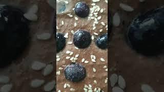 Healthy Snacking on Keto: Peanut, Sesame, Blueberry, and Cocoa Bites #keto