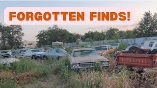 I cut brush at my storage lot... (And found a few cars I forgot I had!) Junkyard Walk Around Tour!