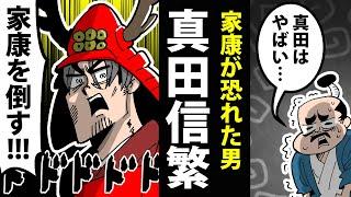 【漫画】真田信繁（幸村）の生涯～誕生から最期までの49年間～【日本史マンガ動画】