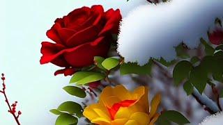 Nature flowers status | Beautiful love flowers status | Beautiful flower video |