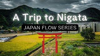 A Trip to Niigata - JAPAN FLOW SERIES | Life in Japan 2022