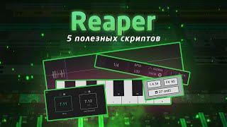 Reaper: 5 полезных скриптов