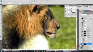 20 урок - Эксперт в Photoshop за 30 дней